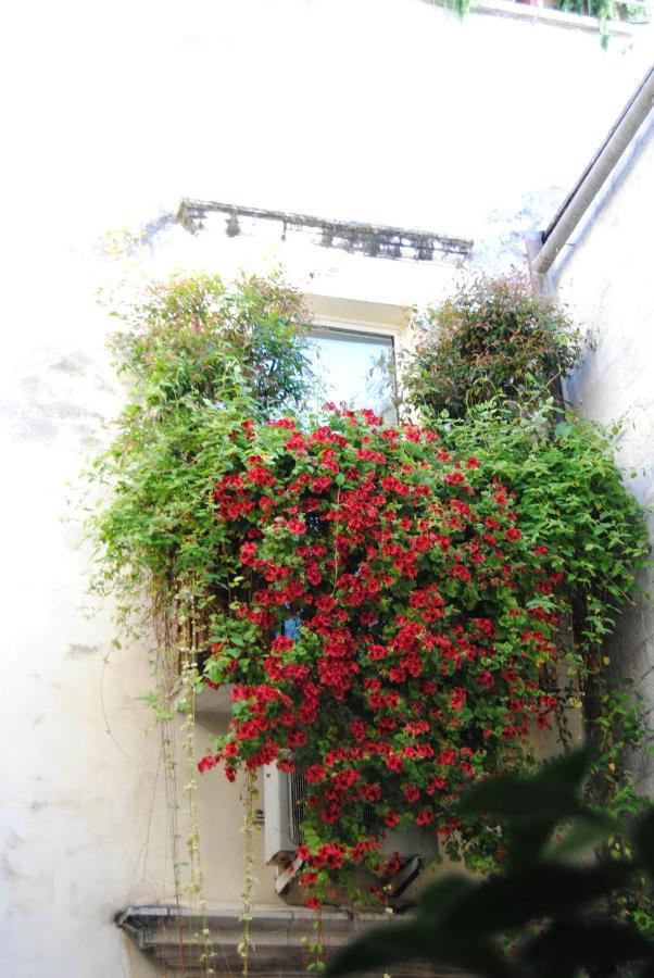 Apartment Flo House